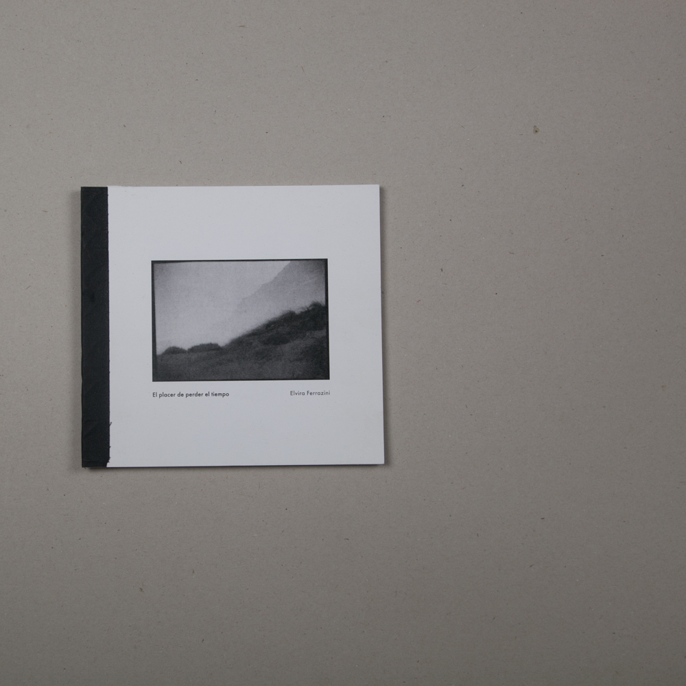 EL PLACER DE PERDER EL TIEMPO (Elvira Ferrazini,&nbsp;2017)